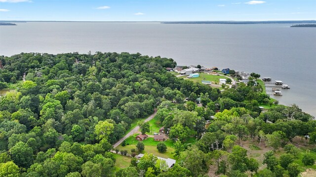 101 Walnut Dr, Coldspring, TX 77331 - photo 37