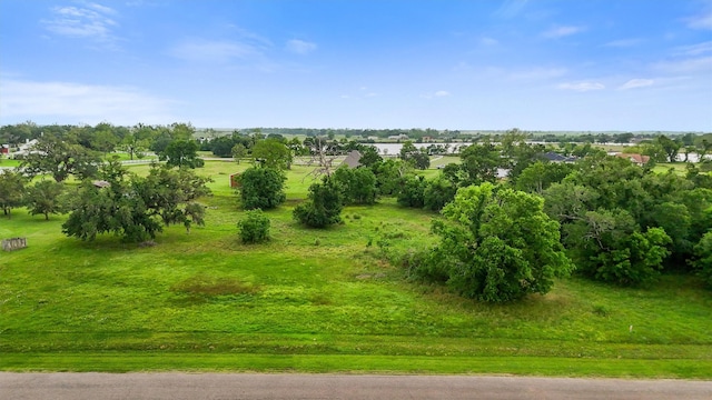 2811 Horse Trail Dr, Rosharon, TX 77583 - photo 12
