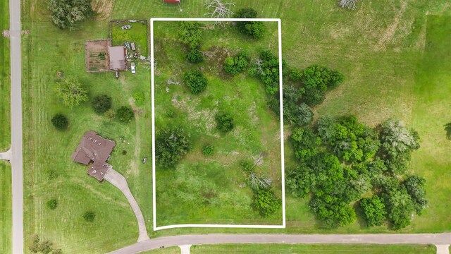 2811 Horse Trail Dr, Rosharon, TX 77583 - photo 2