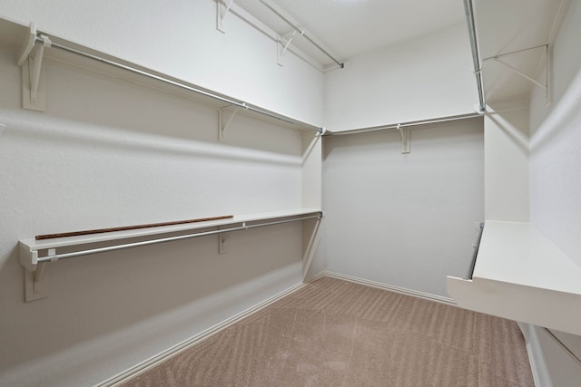 102 W Racing Cloud Ct, The Woodlands, TX 77381 - walk in closet featuring carpet