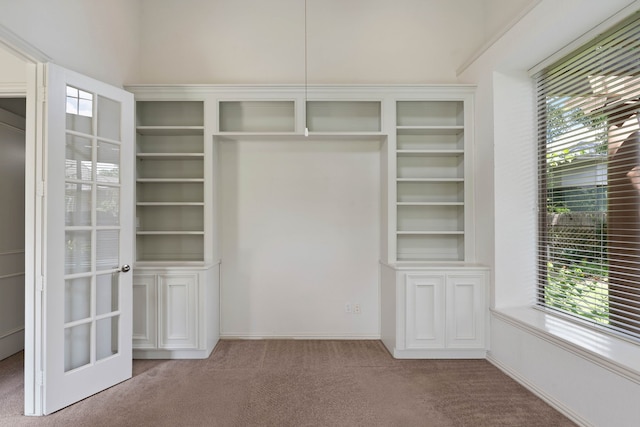 102 W Racing Cloud Ct, The Woodlands, TX 77381 - view of closet