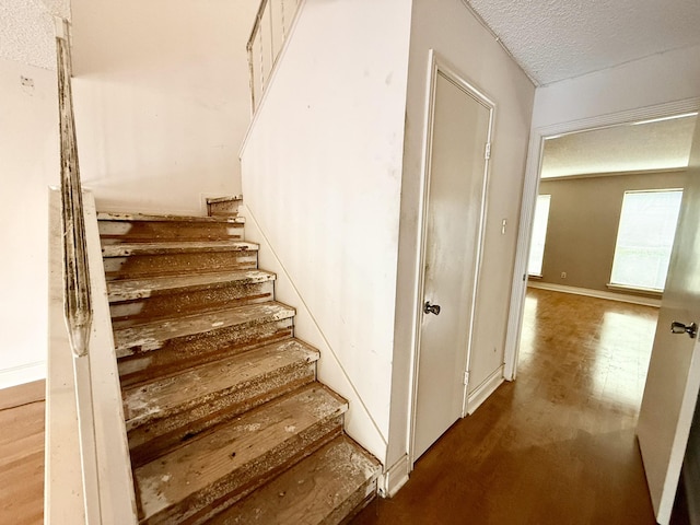 14231 Misty Meadow Ln, Houston, TX 77079 - photo 8