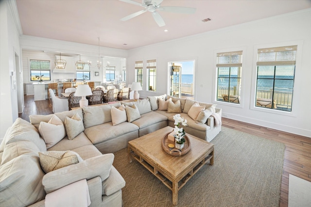 4223 Swashbuckle, Galveston, TX 77554 - living area featuring ceiling fan, wood finished floors, and crown molding