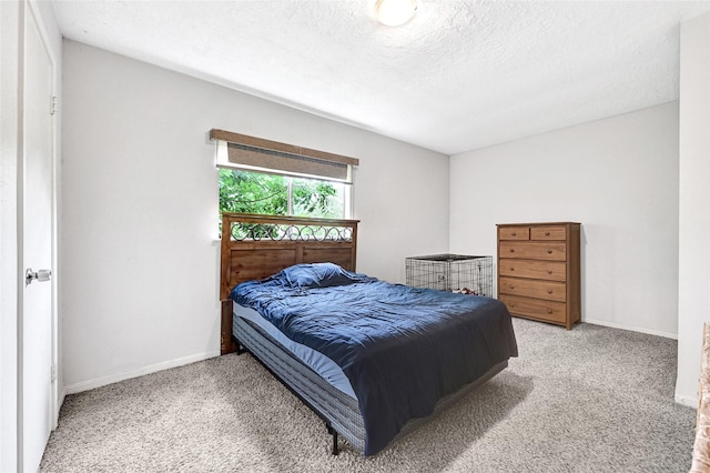 16102 Vista Del Mar Dr, Houston, TX 77083 - photo 21