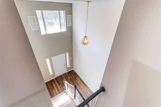 10806 Tallow Briar Ln, Houston, TX 77075 - photo 17