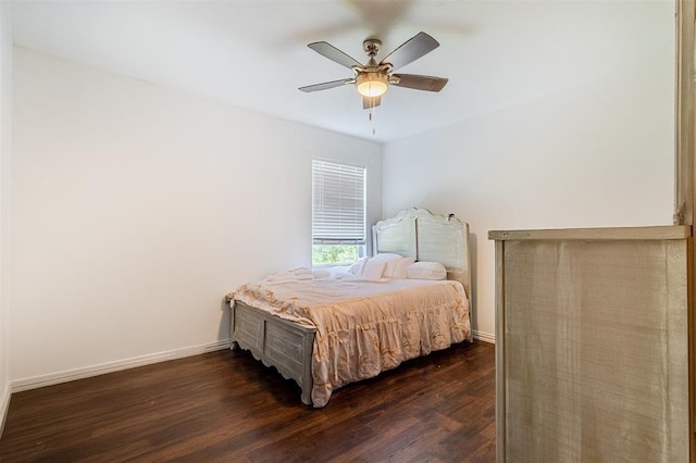 10806 Tallow Briar Ln, Houston, TX 77075 - photo 30