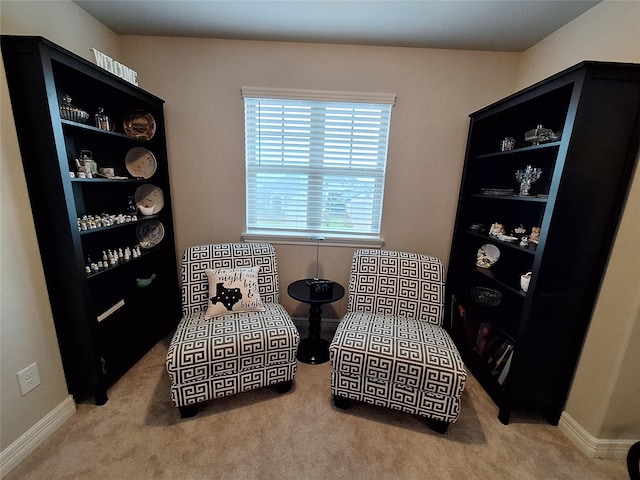 17123 Bainham Forest Trl, Hockley, TX 77447 - photo 18