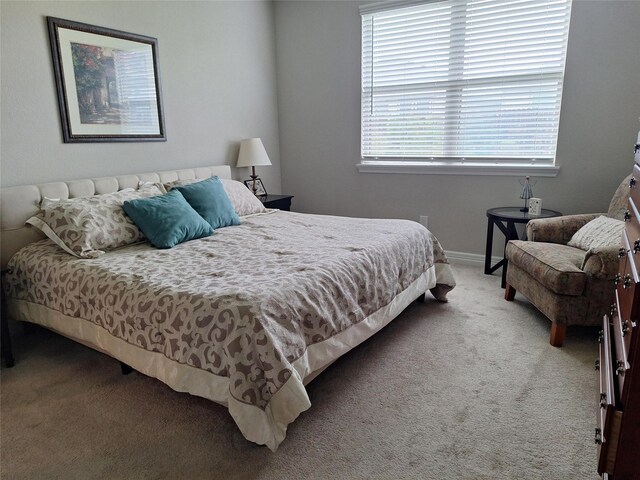 17123 Bainham Forest Trl, Hockley, TX 77447 - photo 12