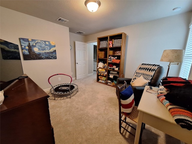 17123 Bainham Forest Trl, Hockley, TX 77447 - photo 29