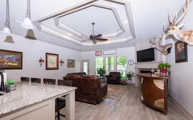 2977 Presidio Cir, Belton, TX 76513 - living area with a tray ceiling, ceiling fan, light wood finished floors, and a fireplace