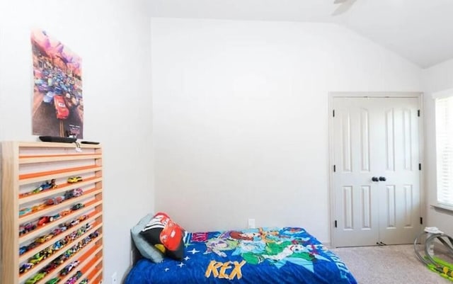 2977 Presidio Cir, Belton, TX 76513 - carpeted bedroom featuring vaulted ceiling and multiple windows