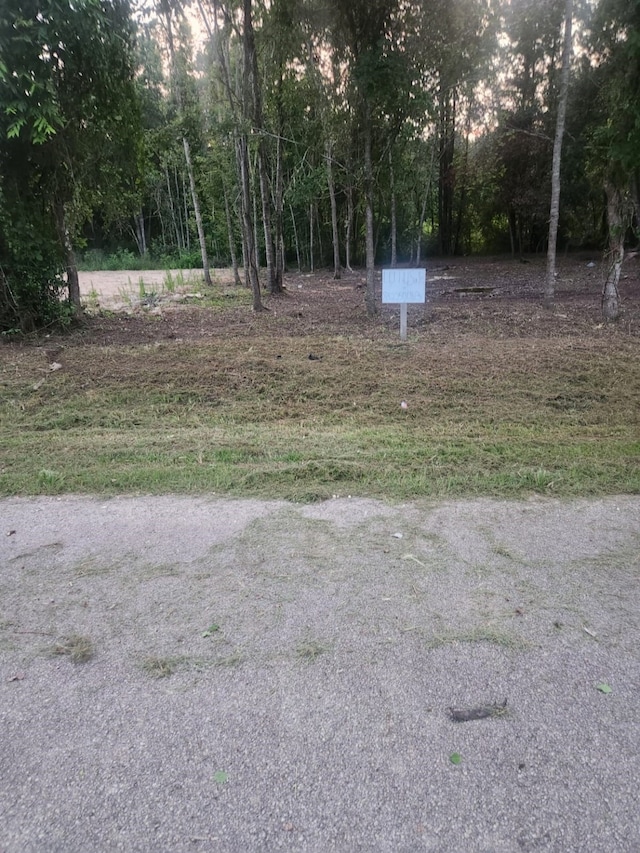01 N Railroad Ave, Shepherd, TX 77371 - photo 2