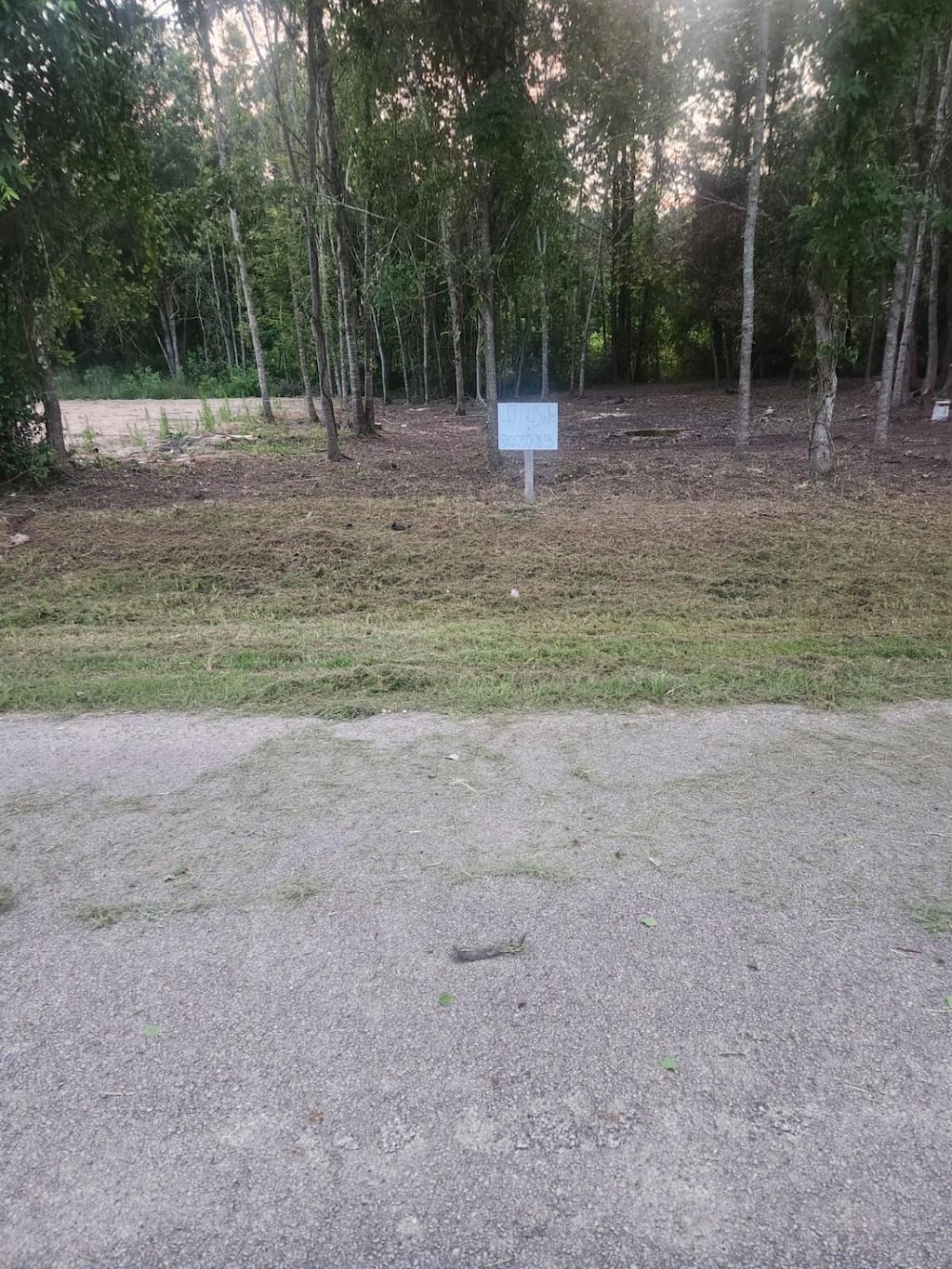 01 N Railroad Ave, Shepherd, TX 77371 - photo 3