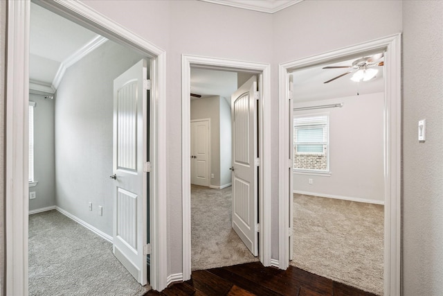 31703 Morning Ridge Ln, Spring, TX 77386 - hall featuring crown molding, dark carpet, and dark wood-type flooring