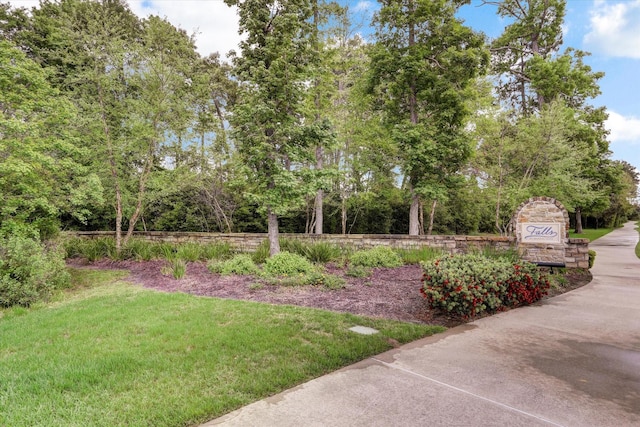 31703 Morning Ridge Ln, Spring, TX 77386 - view of green lawn featuring view of scattered trees