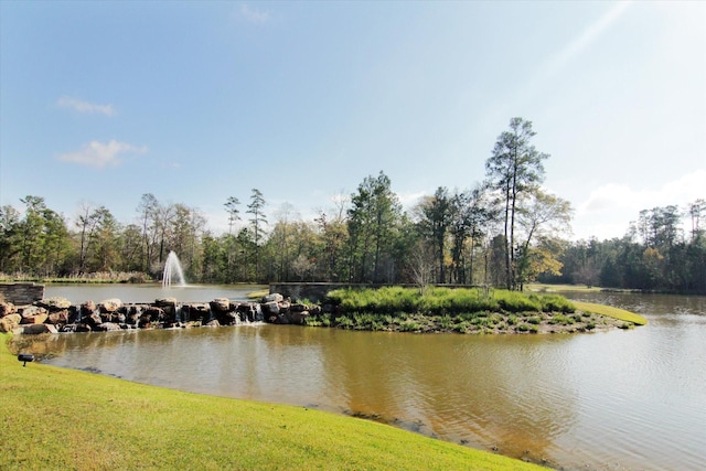 31703 Morning Ridge Ln, Spring, TX 77386 - water view