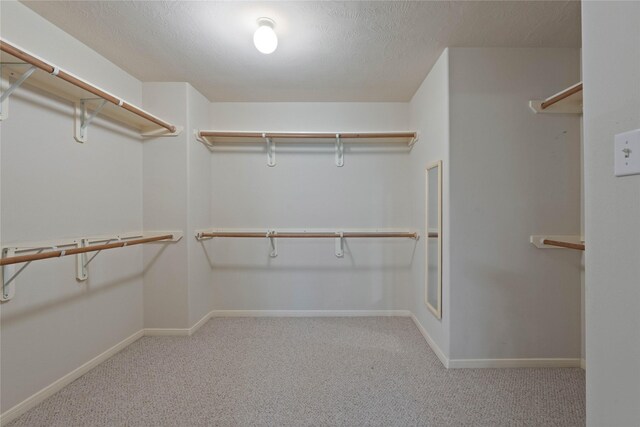 7414 Hollister Spg, Houston, TX 77040 - photo 11