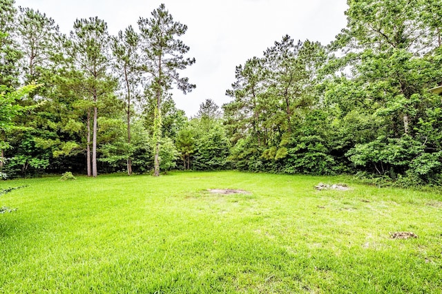 120 Piney Ln, Coldspring, TX 77331 - photo 43