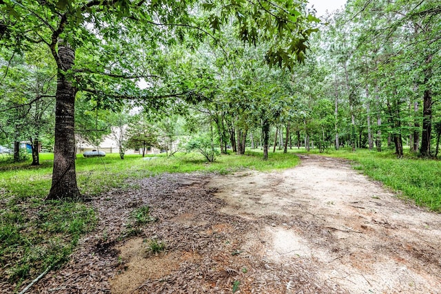 120 Piney Ln, Coldspring, TX 77331 - photo 47