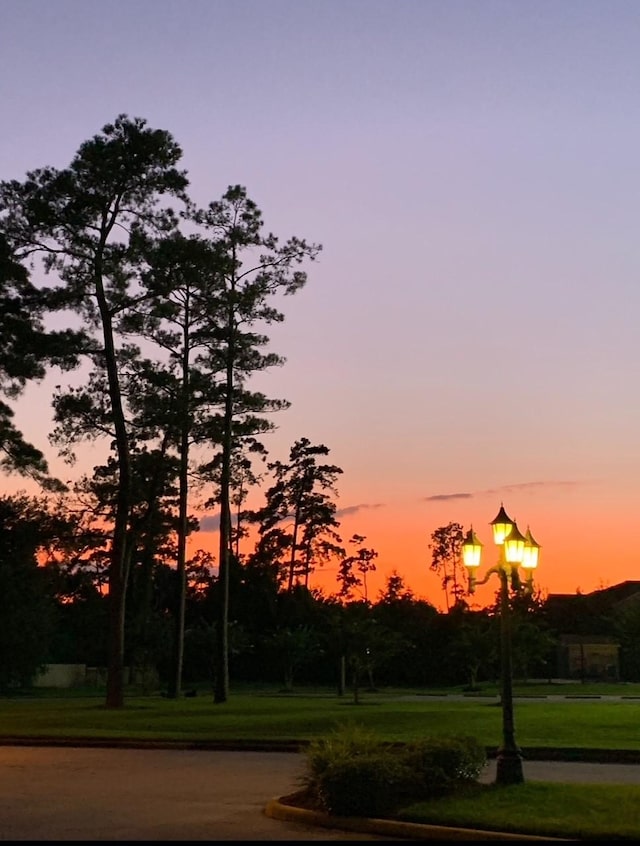 8819 W Rayford Rd, Tomball, TX 77375 - view of home's community