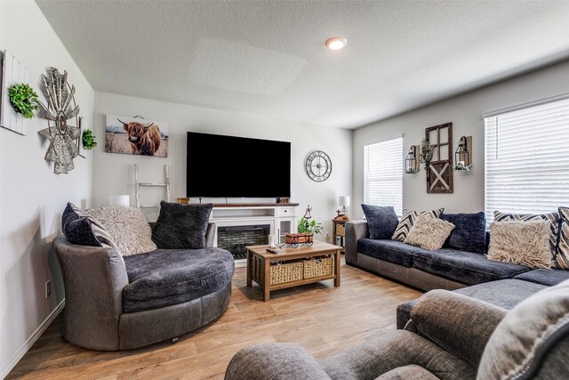 1007 Cozumel Emerald, San Antonio, TX 78253 - living room featuring a textured ceiling and wood finished floors