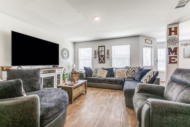 1007 Cozumel Emerald, San Antonio, TX 78253 - living room featuring light wood-style floors
