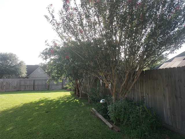 901 S Belle Dr, Angleton, TX 77515 - photo 20