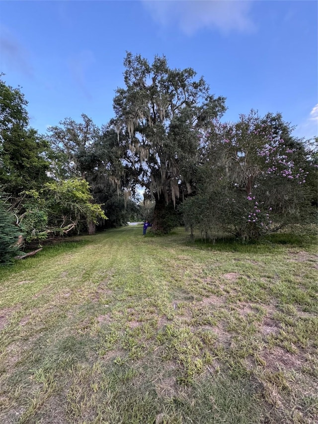 1510 Jimmy Phillips Blvd, Angleton, TX 77515 - photo 2