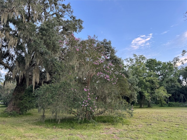 1510 Jimmy Phillips Blvd, Angleton, TX 77515 - photo 4