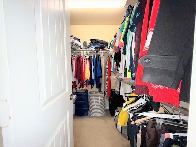 2315 Shady Tree Ln, Conroe, TX 77301 - spacious closet with carpet flooring