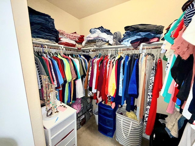 2315 Shady Tree Ln, Conroe, TX 77301 - view of spacious closet