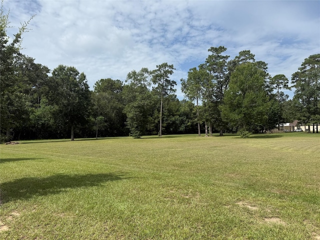 318 Pinchback Dr, Anahuac, TX 77514