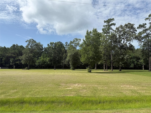 318 Pinchback Dr, Anahuac, TX 77514
