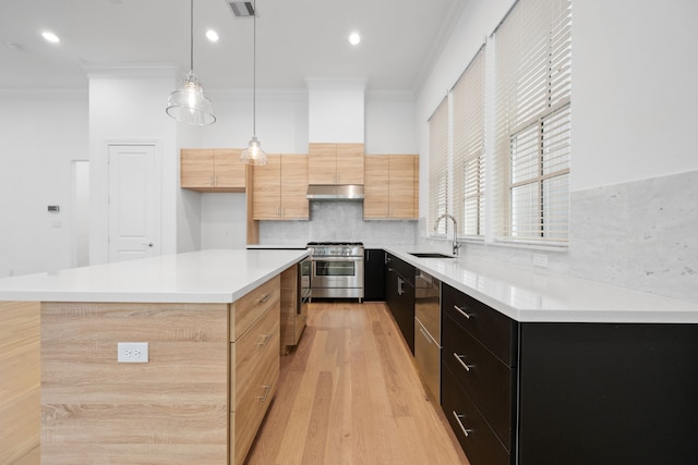 614 Delmar St, Houston, TX 77023 - kitchen with stainless steel appliances, extractor fan, crown molding, light wood finished floors, and light countertops