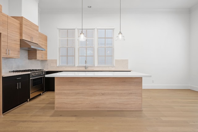 614 Delmar St, Houston, TX 77023 - kitchen featuring high end range, under cabinet range hood, ornamental molding, a kitchen island, and backsplash