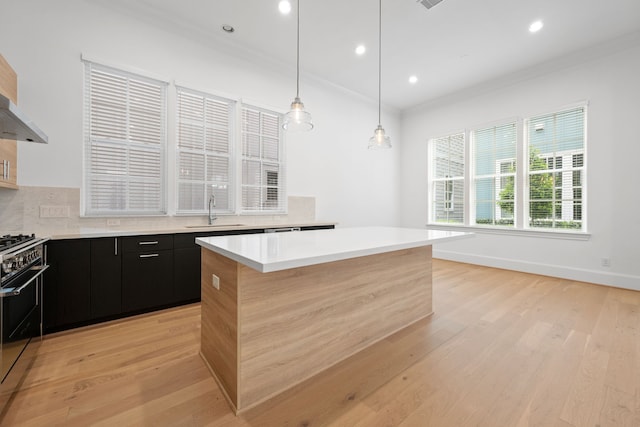 614 Delmar St, Houston, TX 77023 - kitchen with dark cabinetry, crown molding, high end stainless steel range, light countertops, and light wood-style flooring