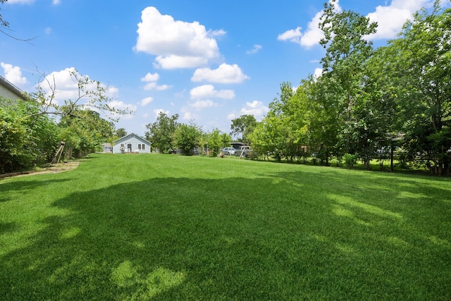 3822 Wipprecht St, Houston, TX 77026 - view of green lawn