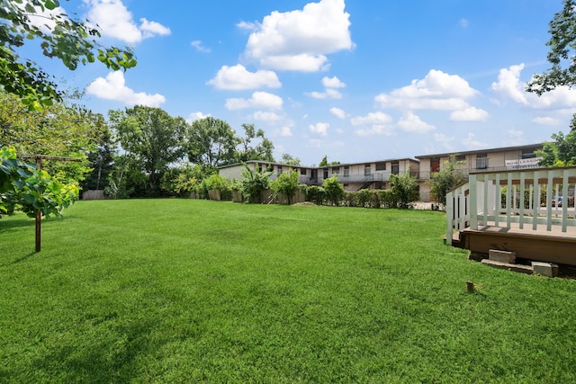 3822 Wipprecht St, Houston, TX 77026 - view of green lawn featuring a deck