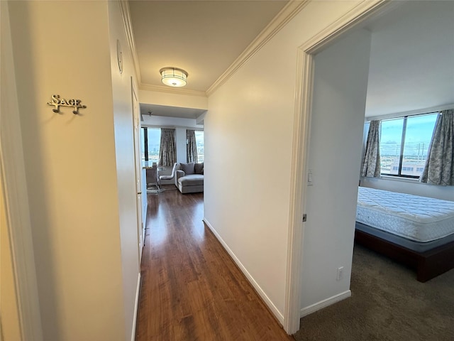 3525 Sage Rd Unit 1204, Houston, TX 77056 - hall featuring healthy amount of natural light, ornamental molding, and wood finished floors