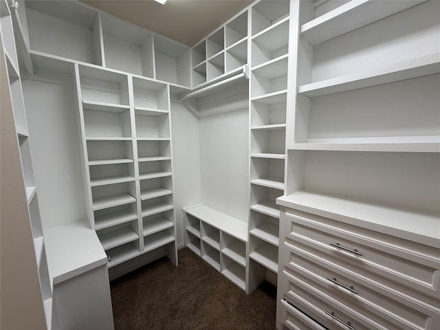 3525 Sage Rd Unit 1204, Houston, TX 77056 - walk in closet featuring dark colored carpet