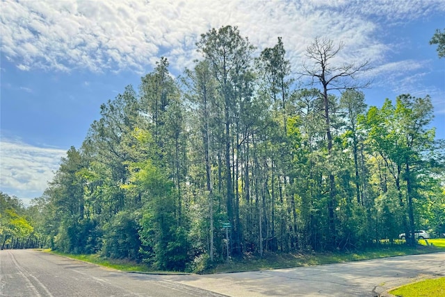 0 Queens Wood Plz, Huntsville, TX 77320 - photo 1