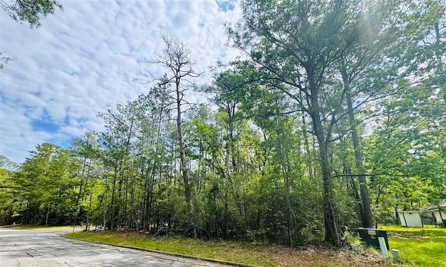 0 Queens Wood Plz, Huntsville, TX 77320 - photo 5