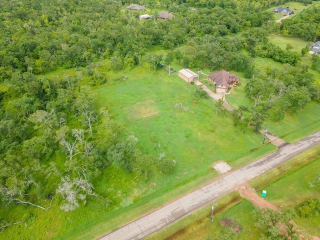 3102 Bayou View Ct, Richwood, TX 77515 - photo 3
