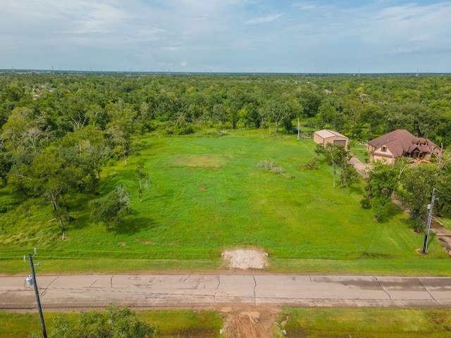 3102 Bayou View Ct, Richwood, TX 77515 - photo 16