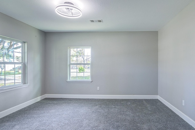 1111 Robinson St, Alvin, TX 77511 - spare room with plenty of natural light and carpet flooring