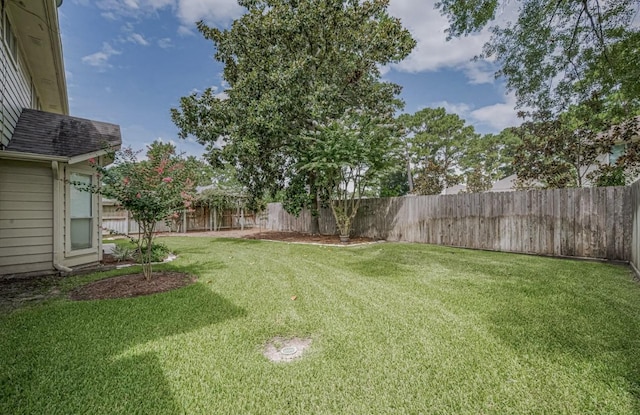 14334 Cypress Valley Dr, Cypress, TX 77429 - view of fenced backyard