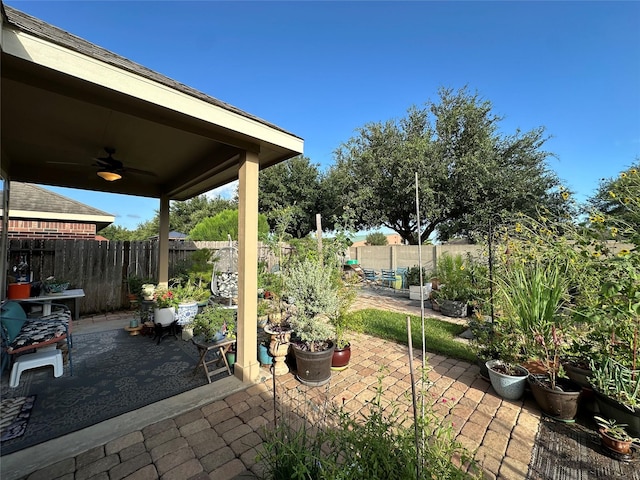 6818 Pear Point Ln, Richmond, TX 77469 - fenced backyard with a ceiling fan and a patio area
