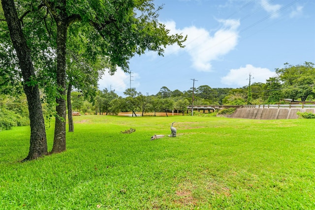 7806 Burgess Rd, Hitchcock, TX 77563 - view of green lawn