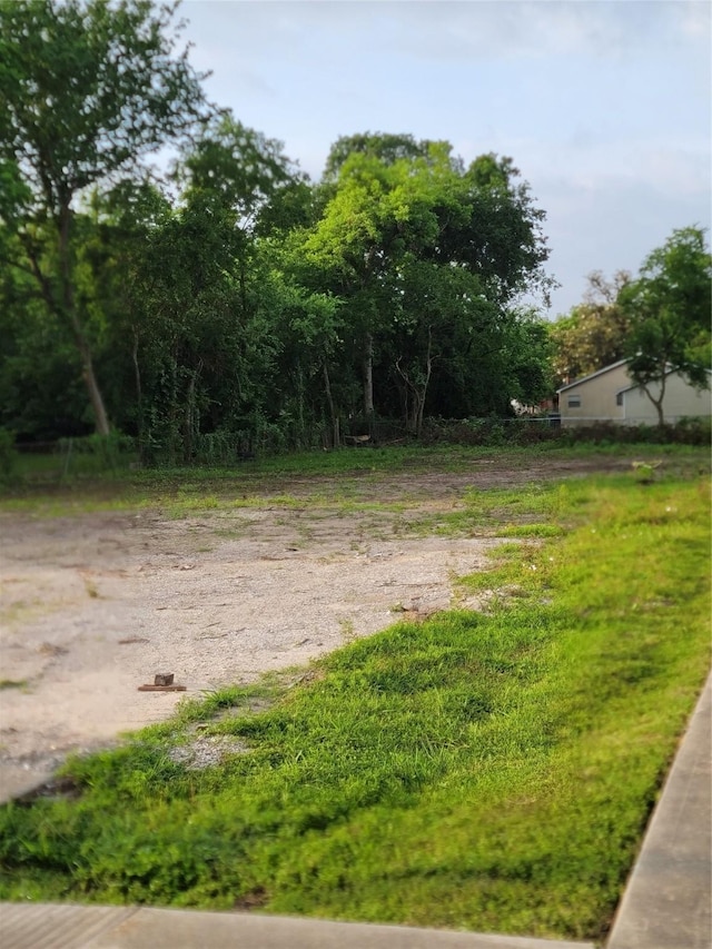 5320 Carmen St, Houston, TX 77033 - photo 5