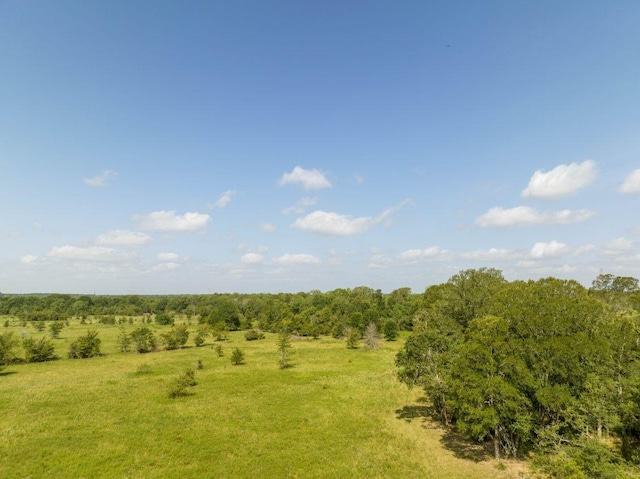 0 Fm 2620, Bedias, TX 77831 - photo 5